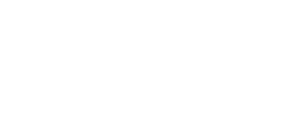 Rokid AU Store